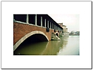 Esondazione fiume Ticino anno 1994 città di Pavia-3
