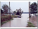 Esondazione fiume Ticino e del fiume Po 15 Ottobre 2000-4